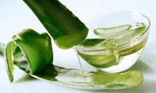 Aloe usado para tratar varices