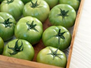 tomates non maduros contra varices